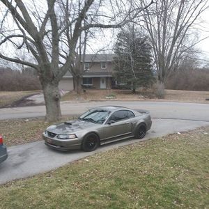 Meet your Posher, Ron